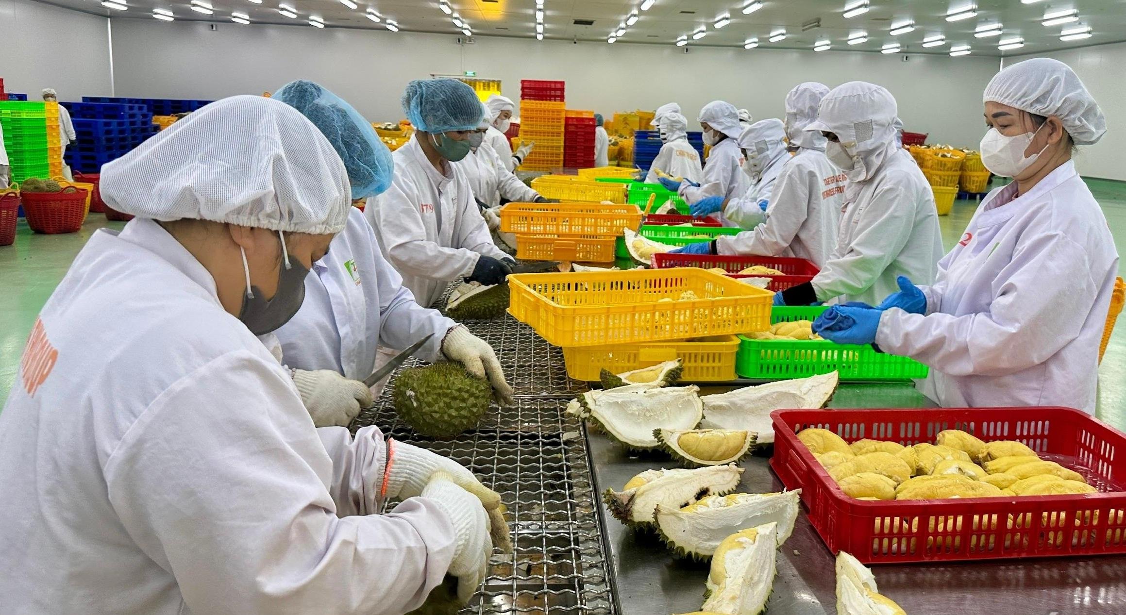 GACC, EUDR, MRL định hình “luật chơi” nông sản Việt
