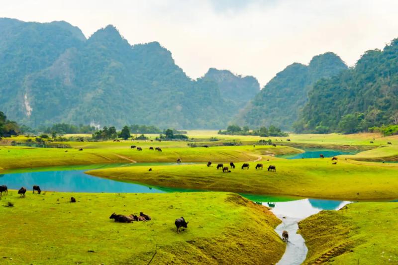 Ngôi làng duy nhất được ví như 'Mông Cổ thu nhỏ' ở Việt Nam được đề cử giải thưởng danh giá Liên Hợp Quốc