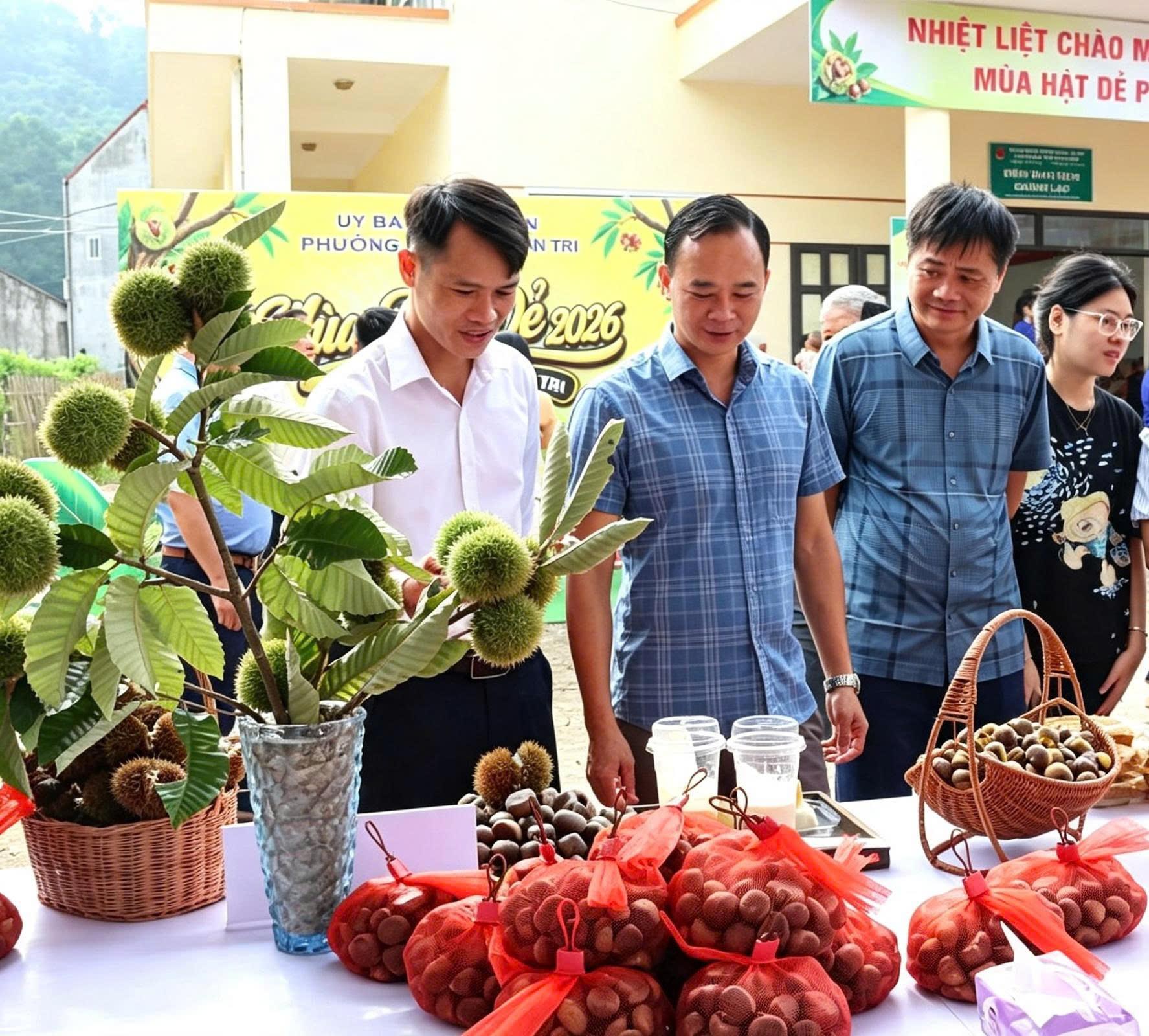 Đánh thức tiềm năng kinh tế nông nghiệp từ thương hiệu hạt dẻ Lương Văn Tri Đánh thức tiềm năng kinh tế nông nghiệp từ thương hiệu hạt dẻ Lương Văn Tri