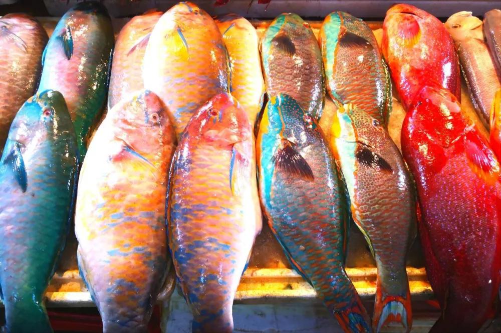 Cảnh báo 5 loại cá tiềm ẩn nguy cơ gây hại sức khỏe, dù rẻ mấy cũng không nên mua Cảnh báo 5 loại cá tiềm ẩn nguy cơ gây hại sức khỏe, dù rẻ mấy cũng không nên mua