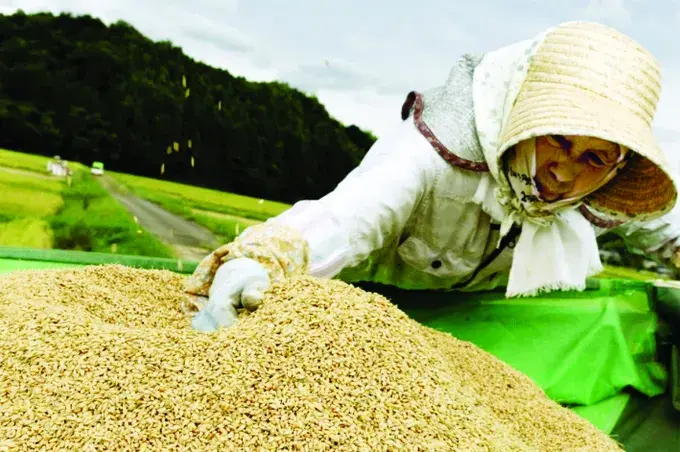 Xây dựng "đường dây nóng" hỗ trợ doanh nghiệp nông sản vượt khó Xây dựng "đường dây nóng" hỗ trợ doanh nghiệp nông sản vượt khó