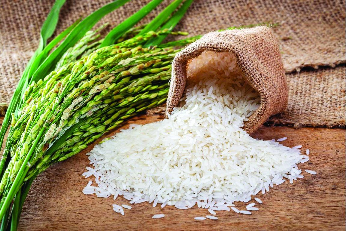 Thúc đẩy thương mại nông sản Việt Nam – Singapore