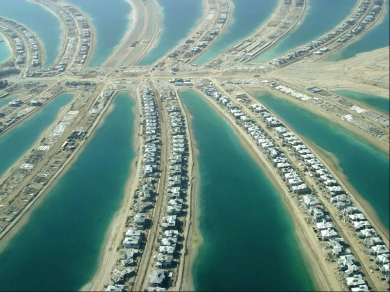 qd5_1779856799.png