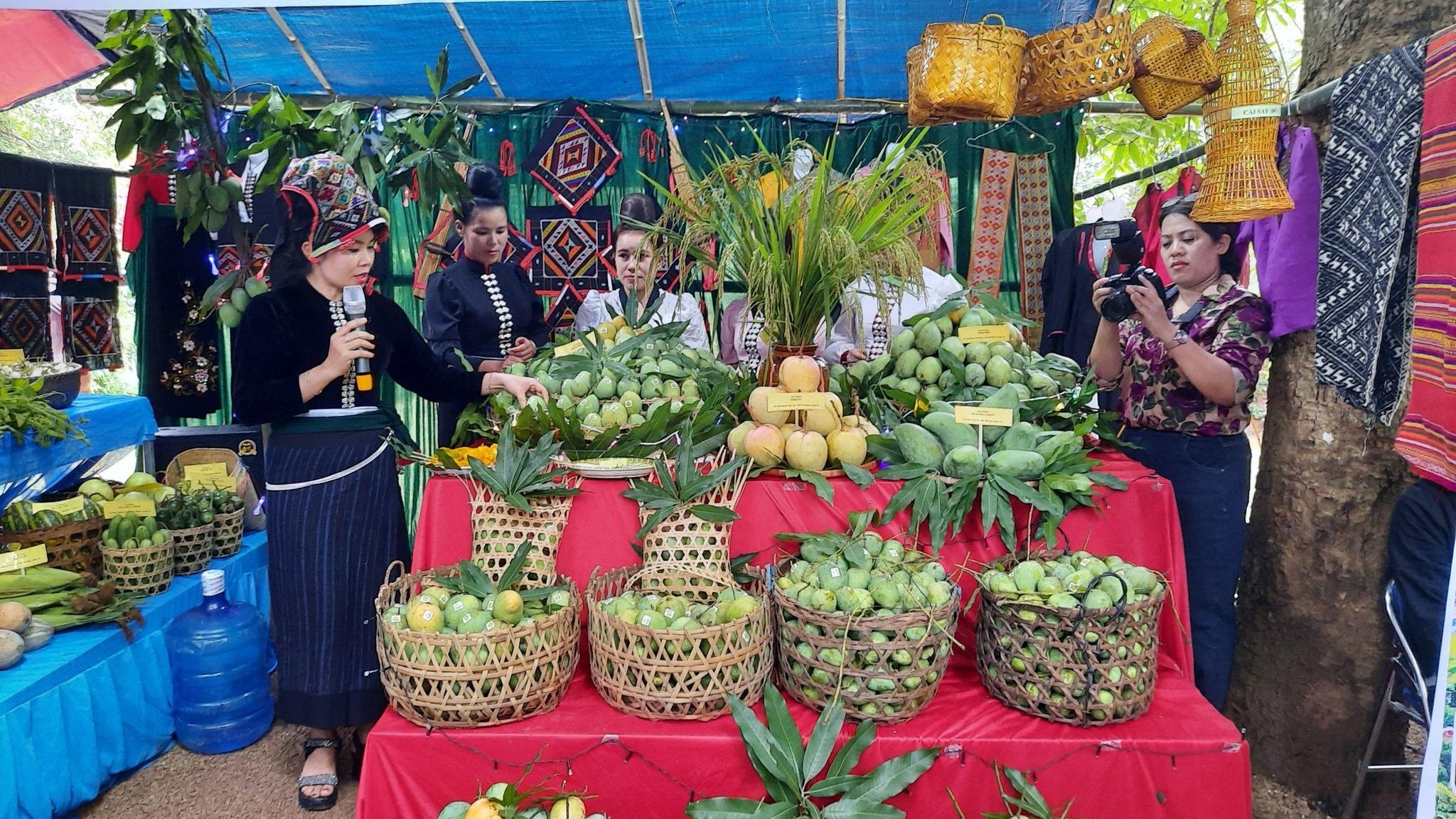 Điều gì giúp xoài Yên Châu được thị trường khó tính ưa chuộng? Điều gì giúp xoài Yên Châu được thị trường khó tính ưa chuộng?
