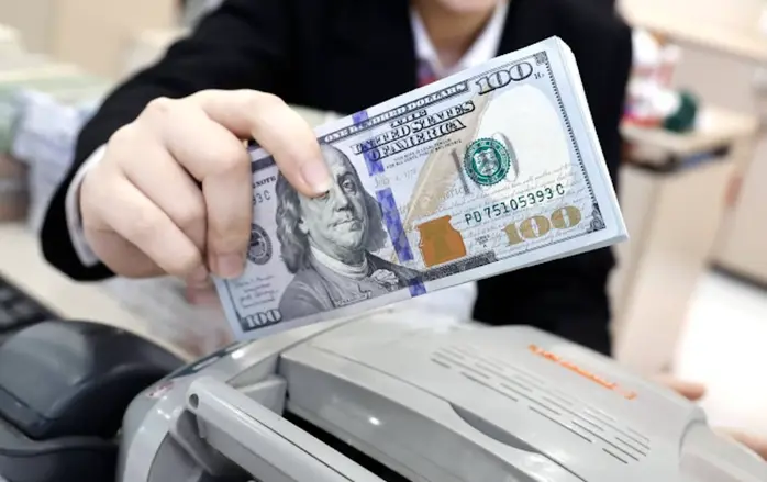 Ngân hàng Nhà nước nâng tỷ giá trung tâm lên mức cao kỷ lục 25.306 đồng/USD