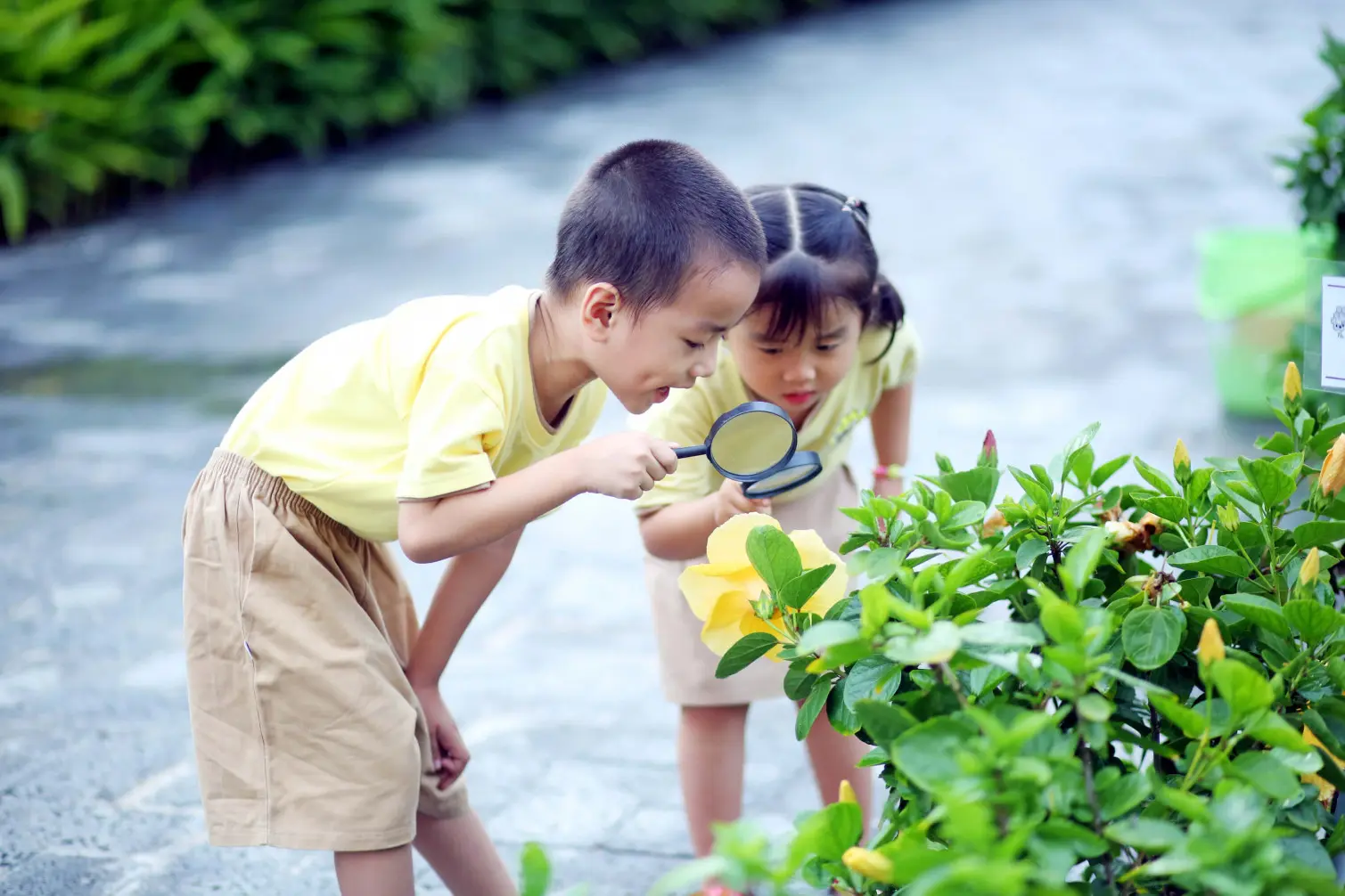 Vì sao trẻ em cần thiên nhiên để phát triển toàn diện? Vì sao trẻ em cần thiên nhiên để phát triển toàn diện?