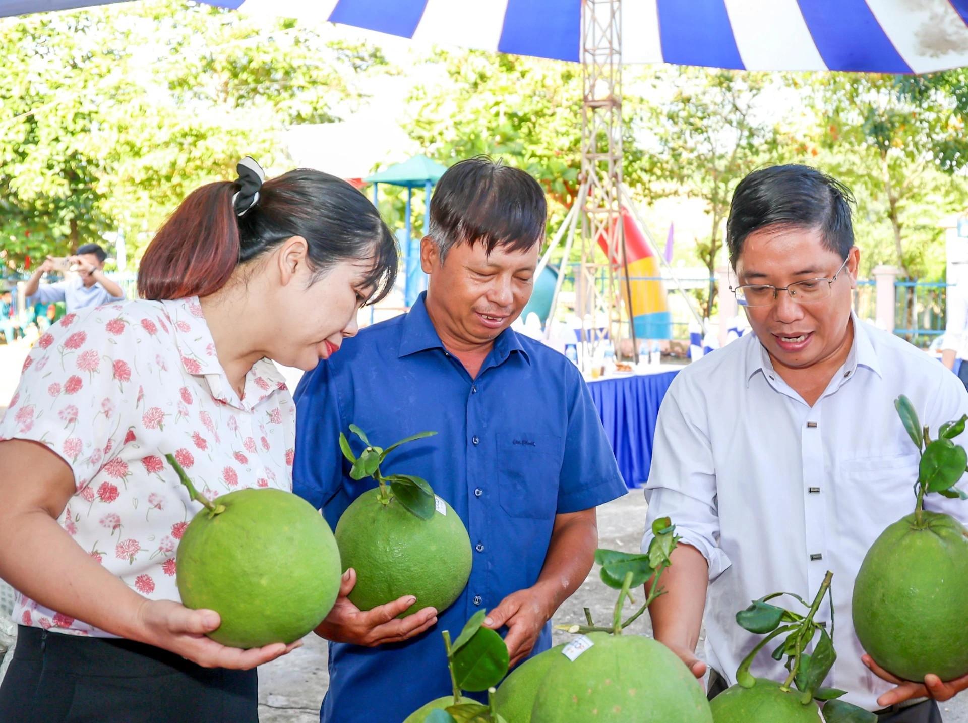 Đánh thức tiềm năng kinh tế vùng trồng bưởi da xanh Khánh Vĩnh Đánh thức tiềm năng kinh tế vùng trồng bưởi da xanh Khánh Vĩnh