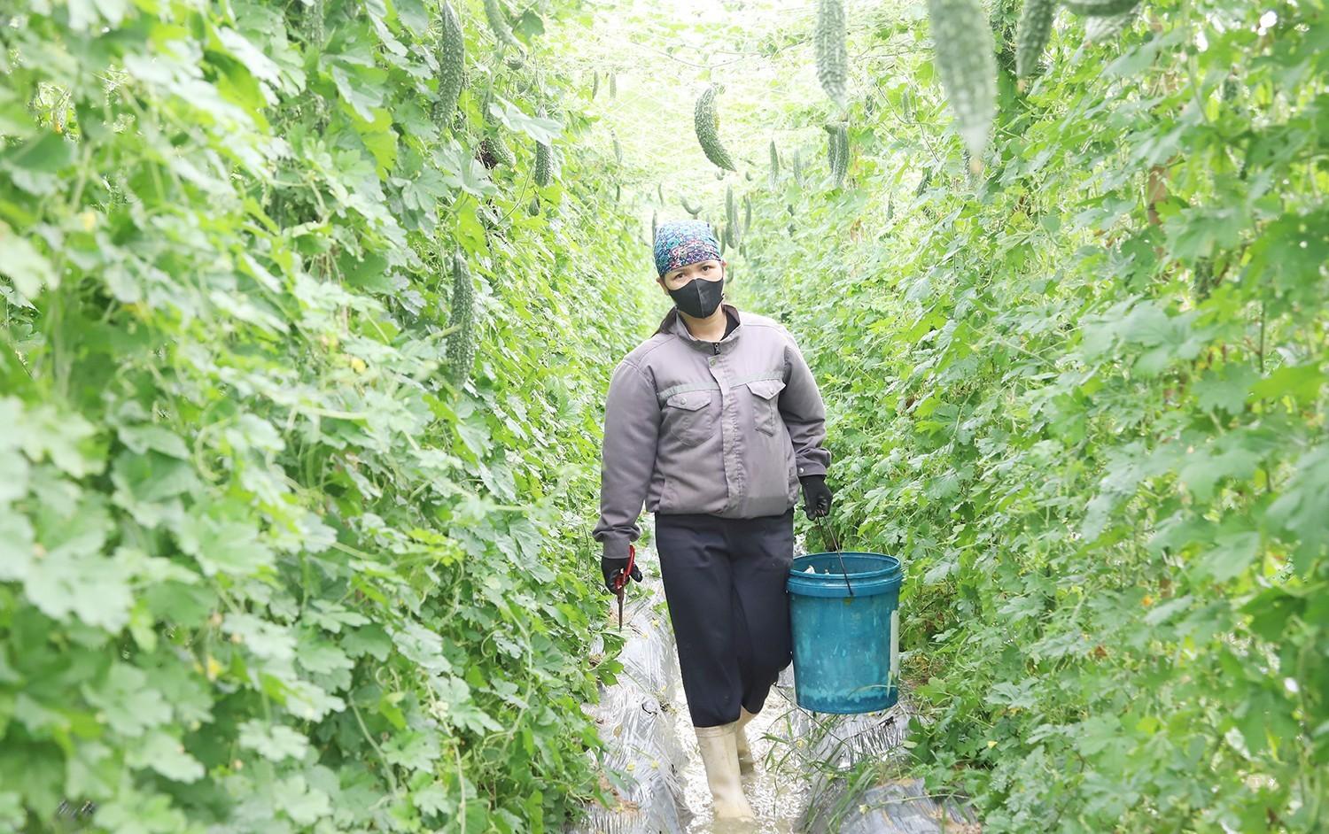 Chuyển đổi tư duy: Bí quyết làm giàu của người dân xã Mai Hoa