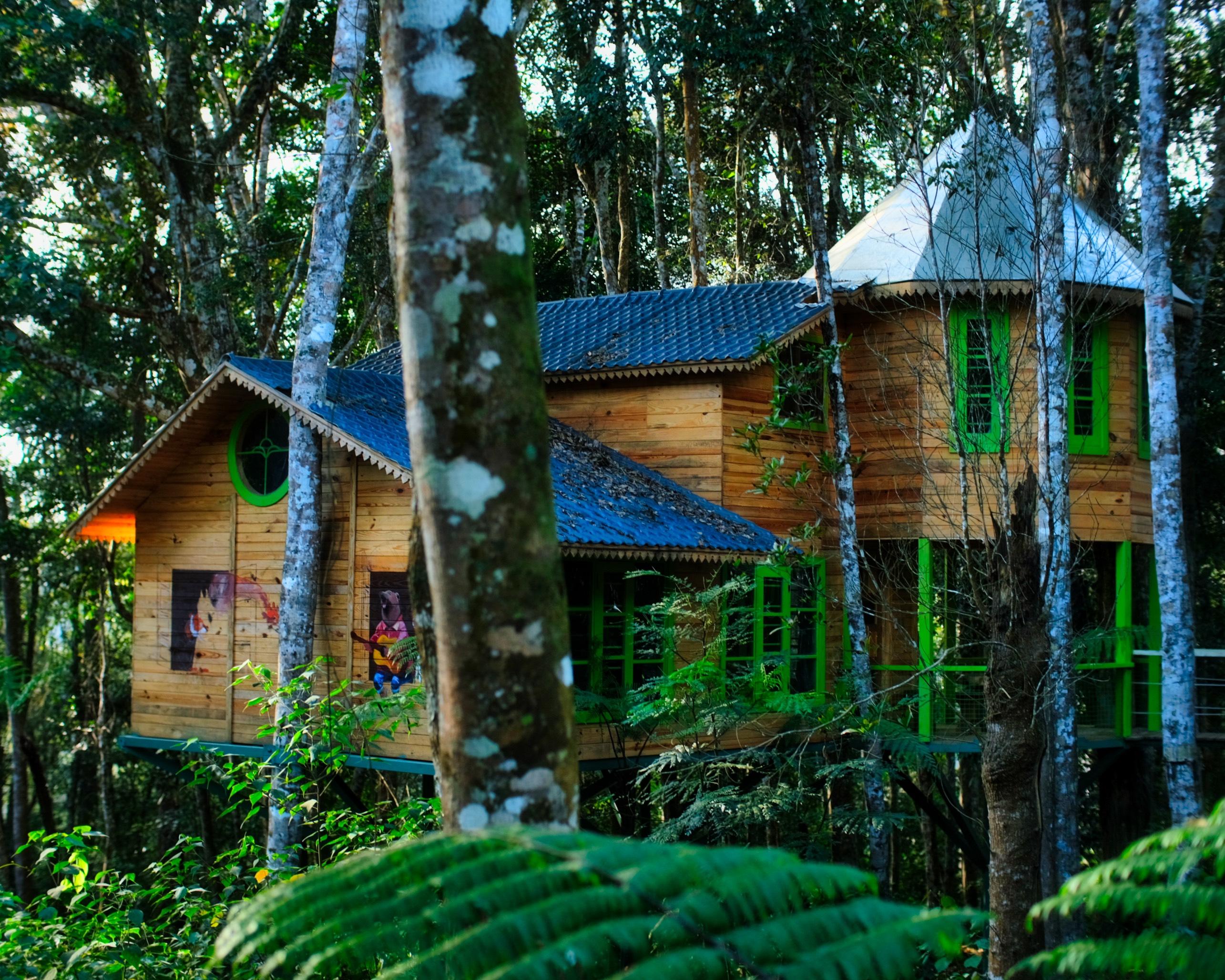 mang-den-treehouse-2_1785144491.jpg