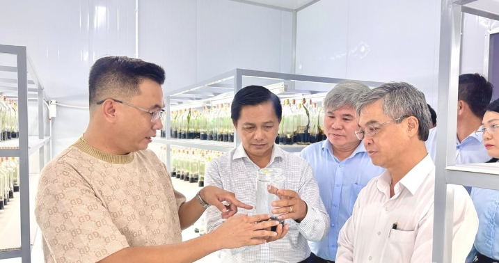 Vĩnh Long xây dựng ngân hàng giống, hướng tới chủ động nguồn giống nông nghiệp Vĩnh Long xây dựng ngân hàng giống, hướng tới chủ động nguồn giống nông nghiệp