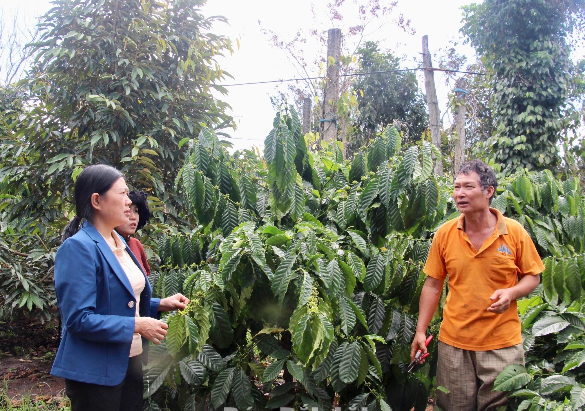 Khi nông dân biết làm kinh tế Khi nông dân biết làm kinh tế