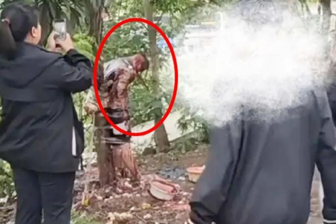 Chú rể bị lột gần hết quần áo, dội nước tương, ném trứng sống rồi trói vào thân cây trong đám cưới