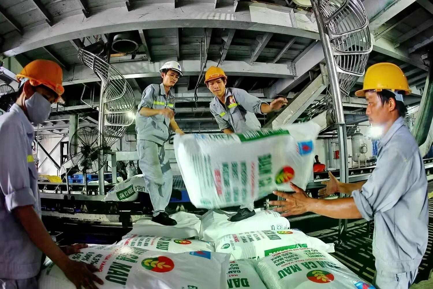 Giá phân bón tăng mạnh, nông dân gánh áp lực chi phí