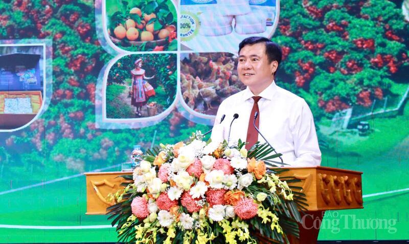 Vải thiều Bắc Ninh: Chất lượng là “chìa khóa” mở rộng thị trường trong và ngoài nước Vải thiều Bắc Ninh: Chất lượng là “chìa khóa” mở rộng thị trường trong và ngoài nước