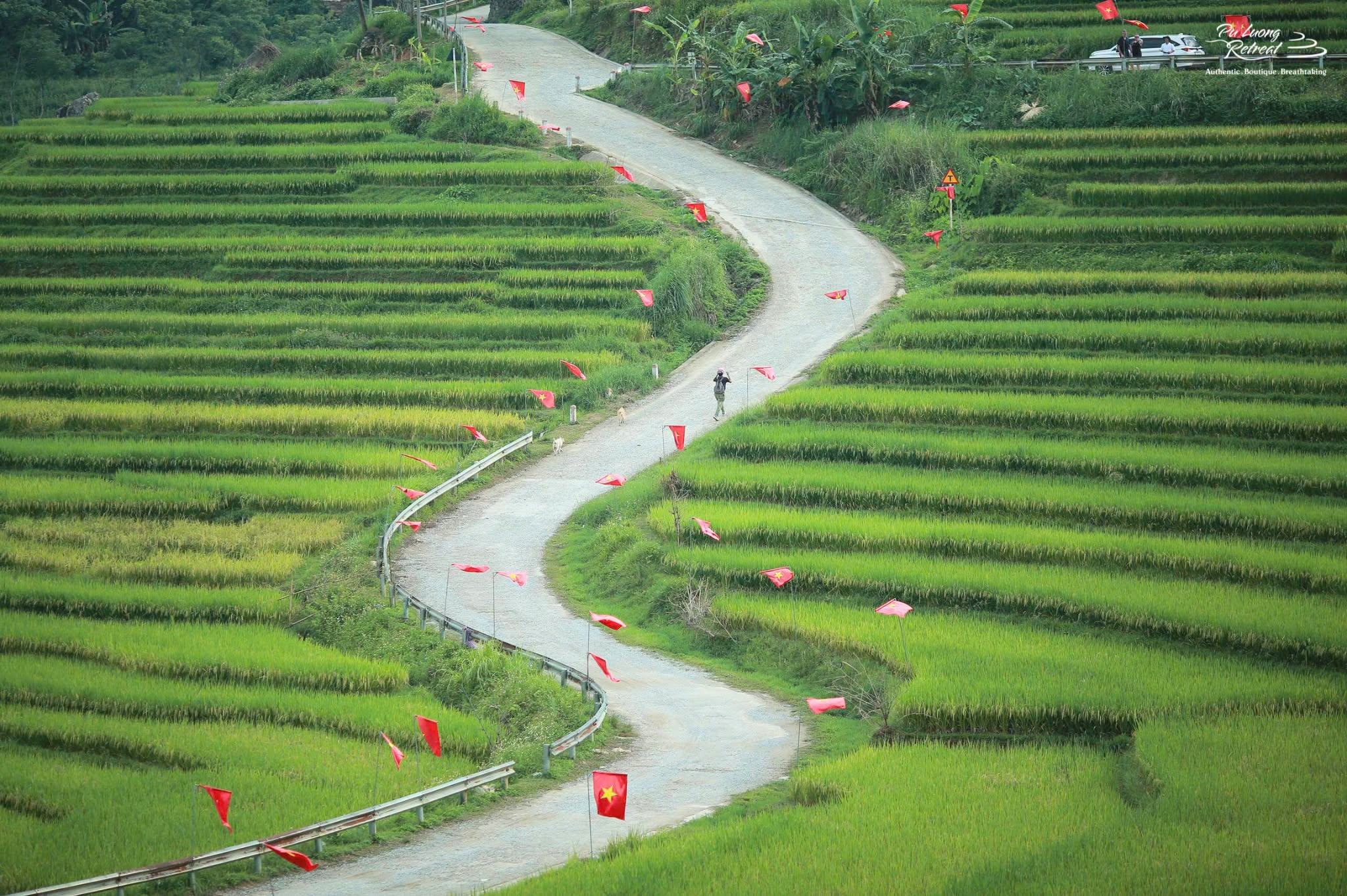 puluong_1779933970.png