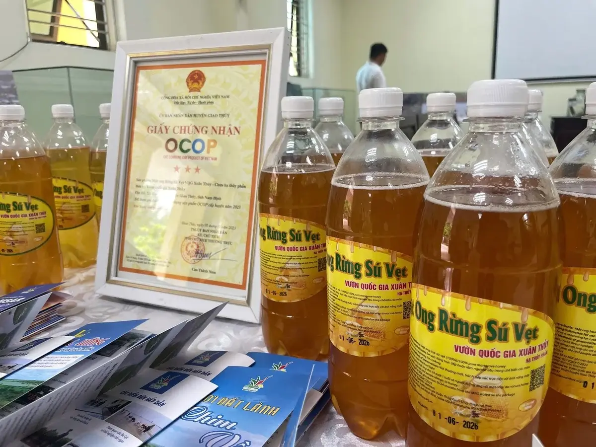 Xây dựng thương hiệu nâng tầm mật ong rừng ngập mặn
