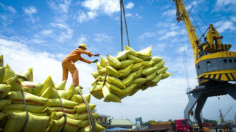 Xuất khẩu gạo kỳ vọng cải thiện kim ngạch các tháng cuối năm