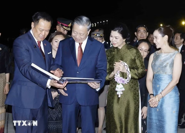 lam-22_1780016991.png
