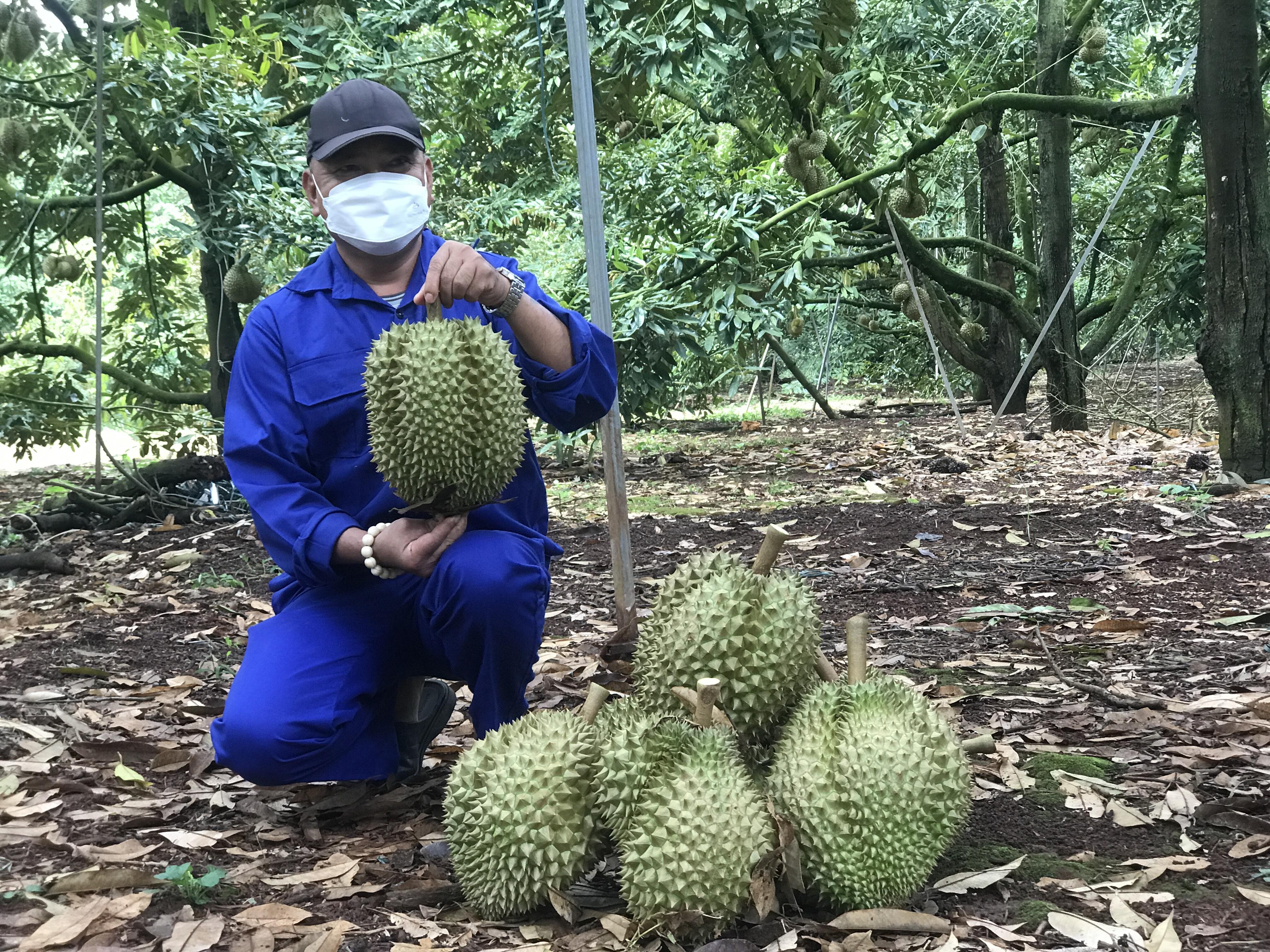 Xây thương hiệu nông sản từ công nghệ cao