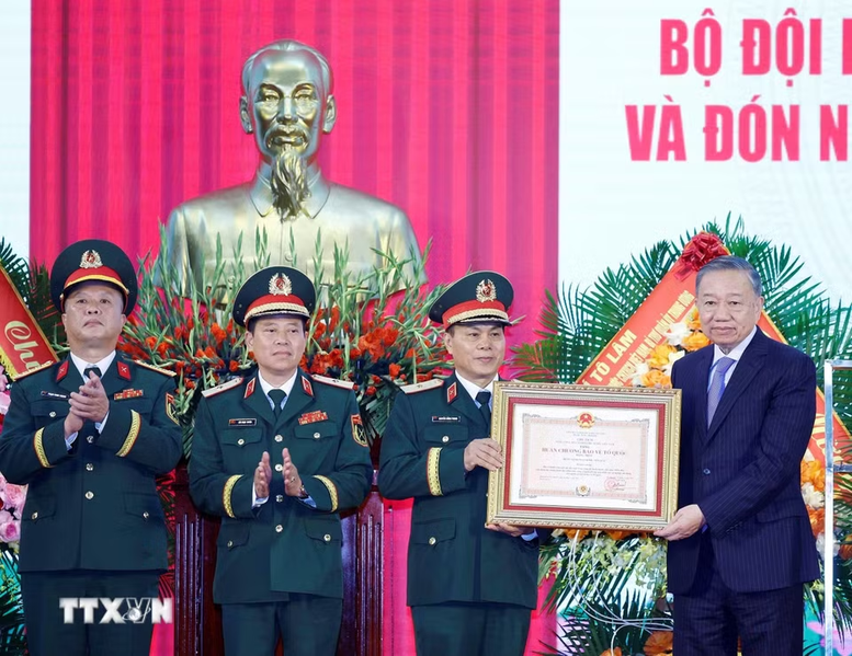 lam-2_1782709695.png