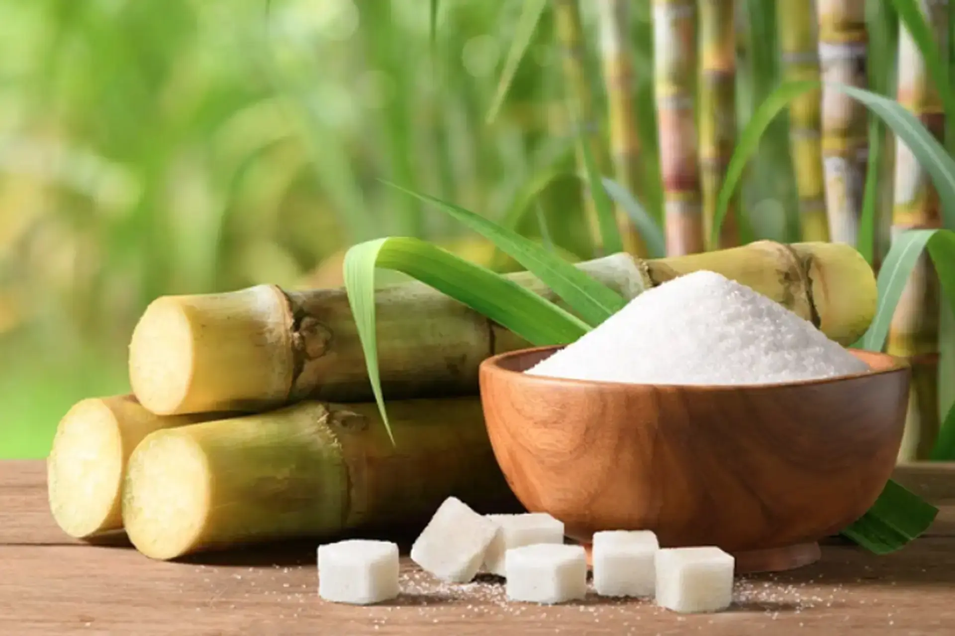 Công bố kết quả rà soát mới nhất về chống lẩn tránh đường mía