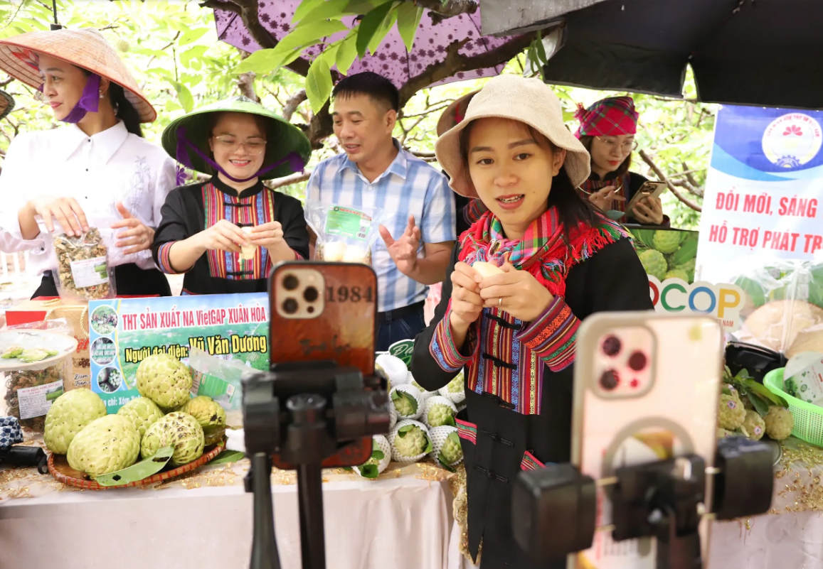 Hành trình đưa nông sản OCOP Thái Nguyên vươn tầm quốc tế nhờ chuẩn hóa chất lượng