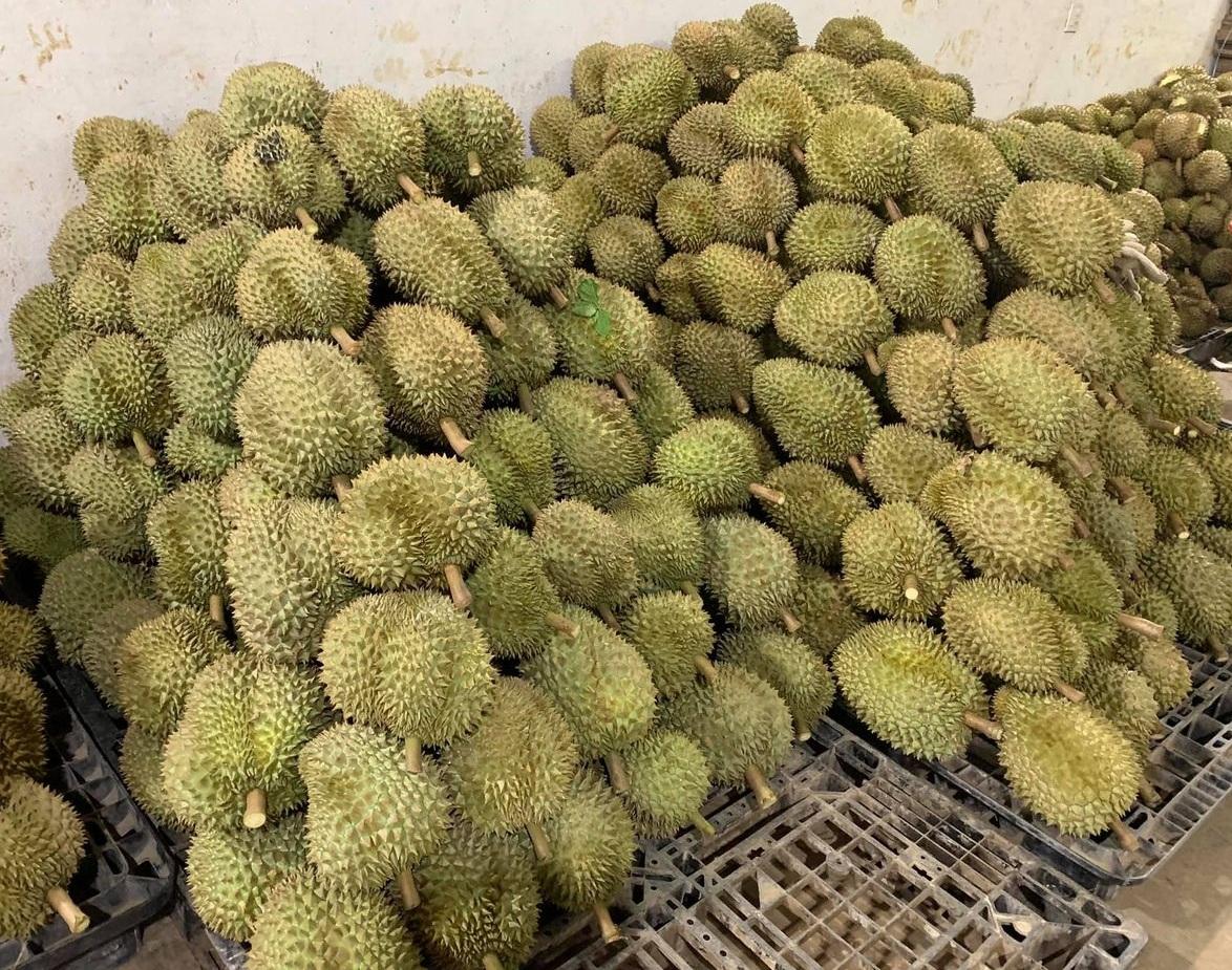 Lâm Đồng thu hồi nhiều mã số vùng trồng, nguyên nhân từ đâu?