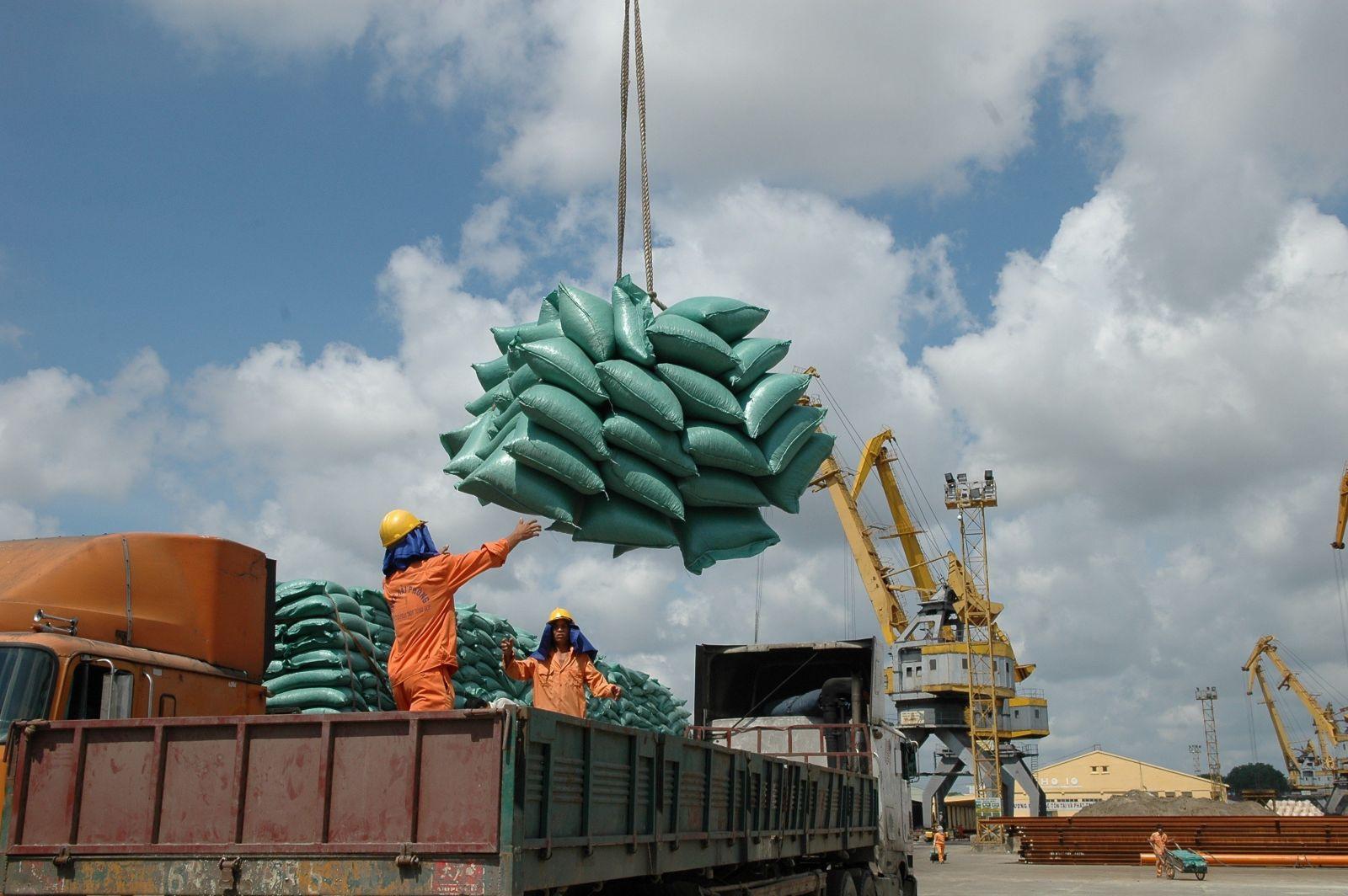 Giữ vững vị thế gạo Việt trong cuộc đua xuất khẩu