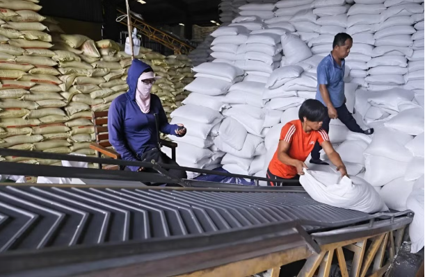 Philippines dựng thêm rào cản, gạo Việt trước bài toán tìm đầu ra Philippines dựng thêm rào cản, gạo Việt trước bài toán tìm đầu ra