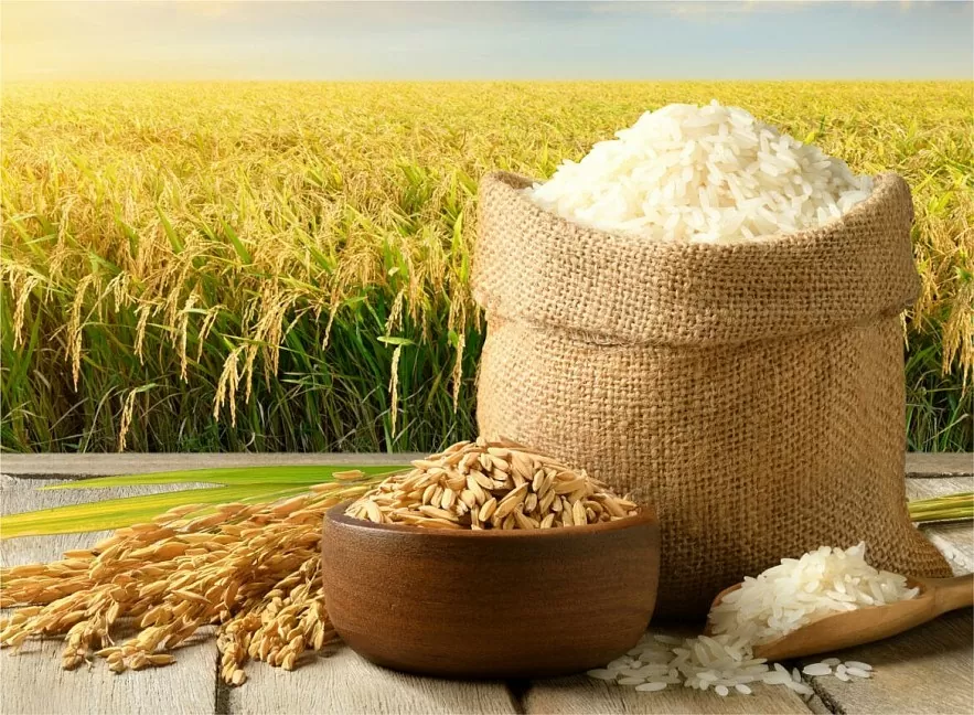 Nông sản thế giới phân hóa mạnh: Lúa mỳ và gạo tăng giá, cà phê chững lại Nông sản thế giới phân hóa mạnh: Lúa mỳ và gạo tăng giá, cà phê chững lại