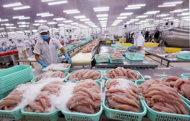Quy định chứng nhận thuỷ sản, sản phẩm thủy sản xuất khẩu vào thị trường Hoa Kỳ Quy định chứng nhận thuỷ sản, sản phẩm thủy sản xuất khẩu vào thị trường Hoa Kỳ