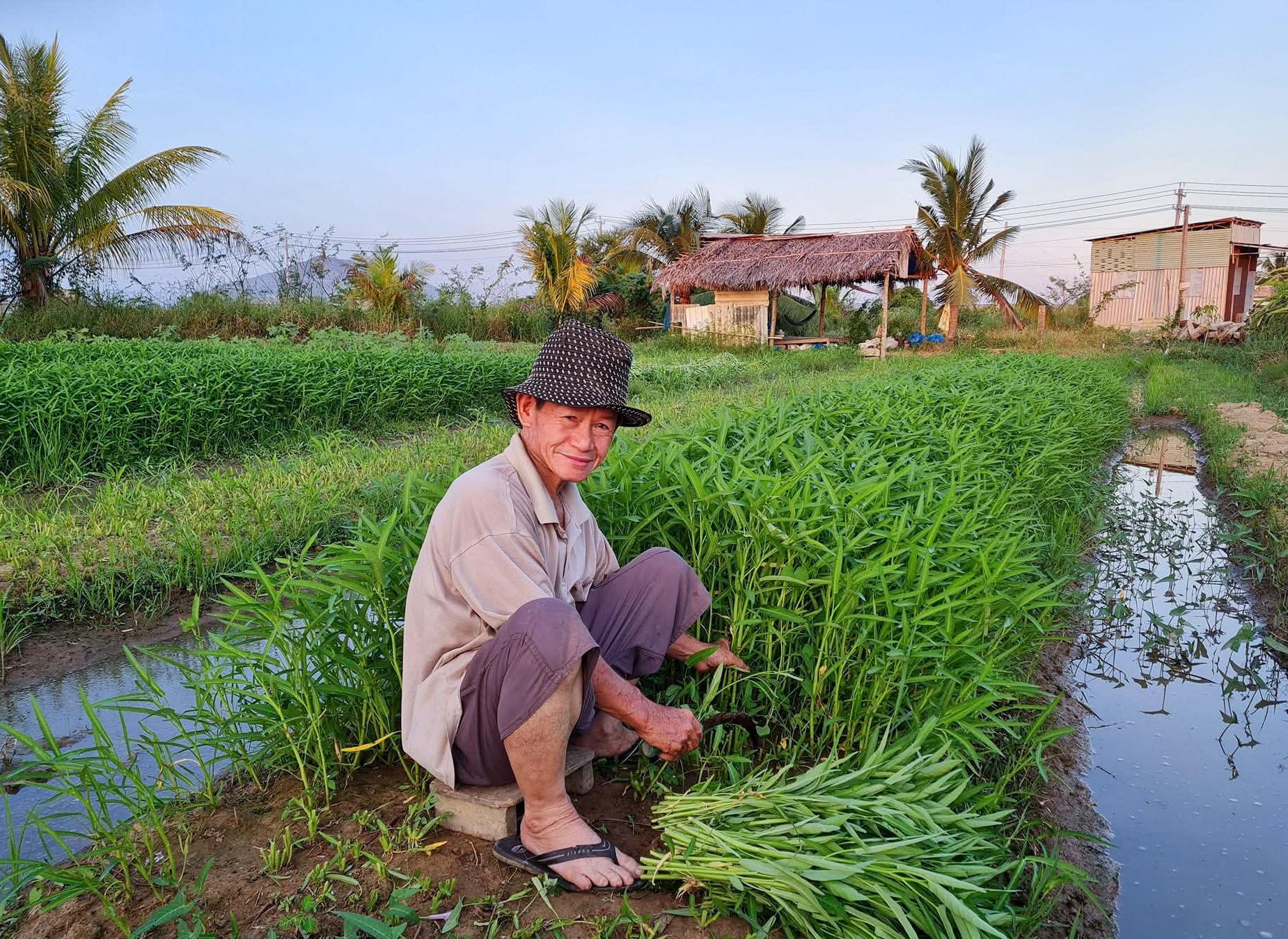 Đưa thương hiệu rau an toàn chinh phục thị trường lớn