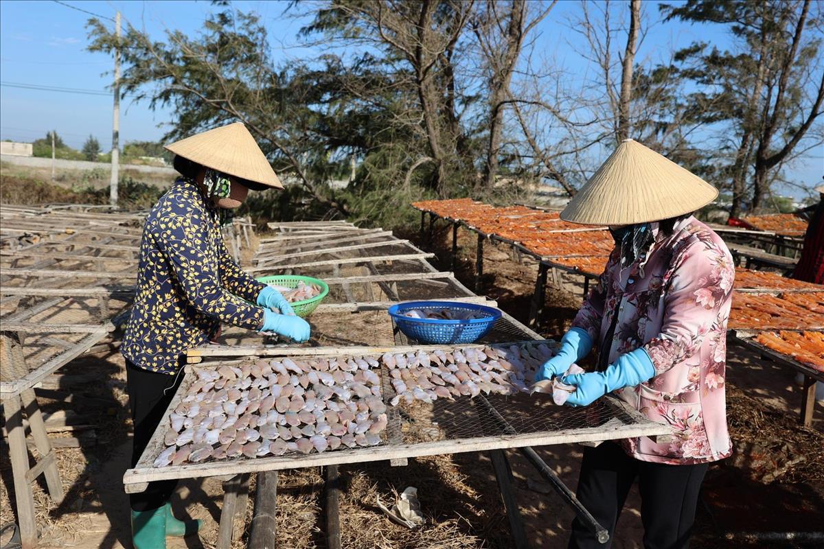 Hải sản khô hối hả vào vụ Tết