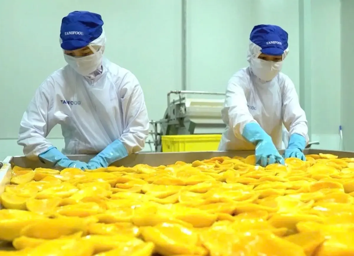 “Tấm vé xanh” nâng tầm vị thế thương hiệu rau quả Việt