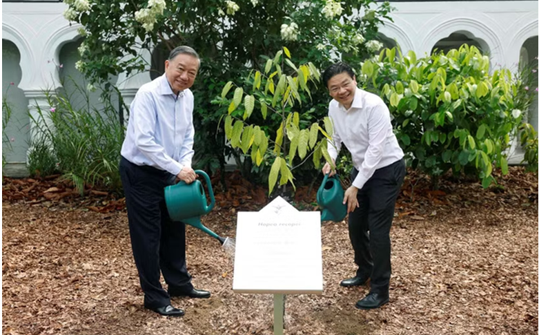 Tổng Bí thư, Chủ tịch nước Tô Lâm trồng cây tại Vườn Bách thảo Singapore