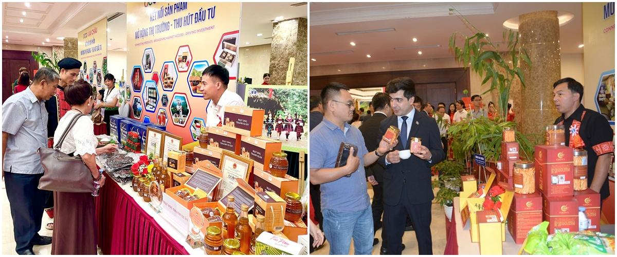 Lai Châu mở dòng vốn xanh phát triển dược liệu vùng Tây Bắc Lai Châu mở dòng vốn xanh phát triển dược liệu vùng Tây Bắc