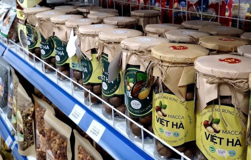 Từ những sườn đồi xanh, hành trình đưa hạt mắc ca vươn xa