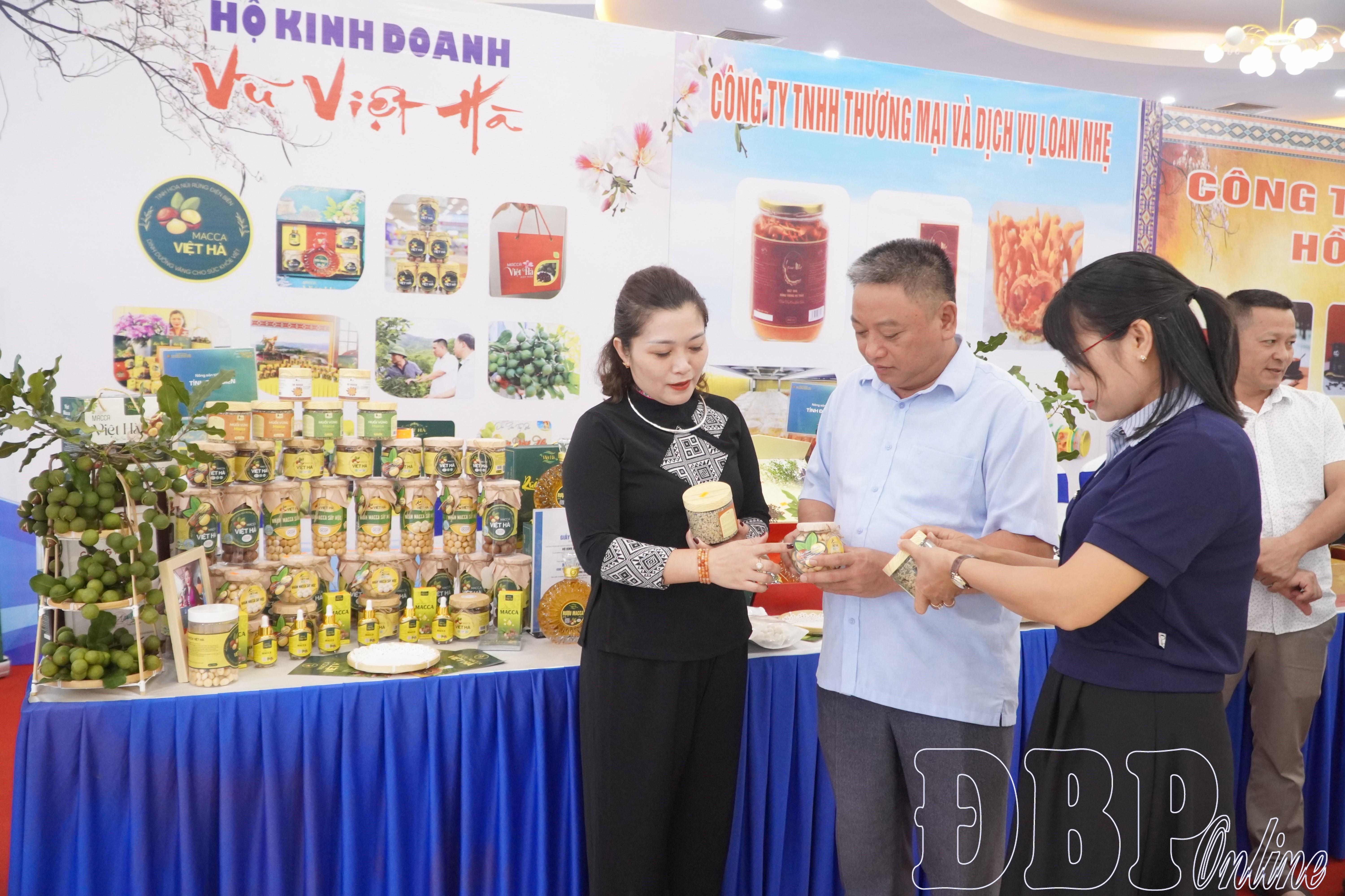 Mở rộng thị trường cho mắc ca Điện Biên Mở rộng thị trường cho mắc ca Điện Biên