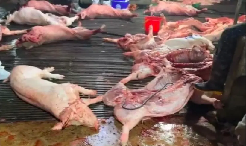 Siết chặt an toàn bếp ăn tập thể sau vụ 300 tấn thịt lợn bệnh tuồn vào trường học