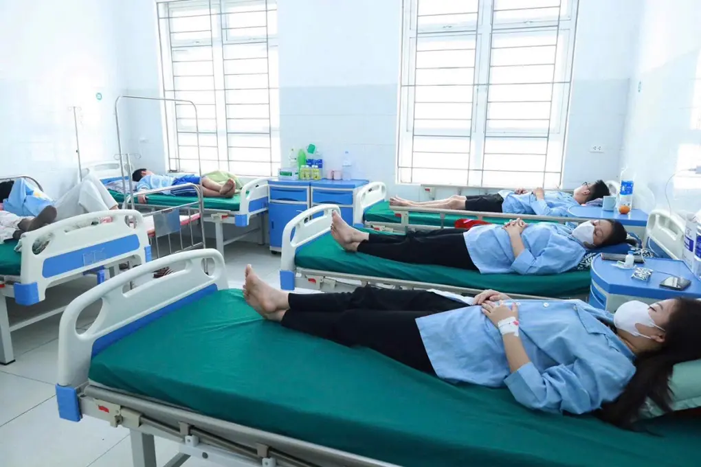 Nghệ An: Xác định vi khuẩn Salmonella là nguyên nhân khiến 62 người ngộ độc bánh mì