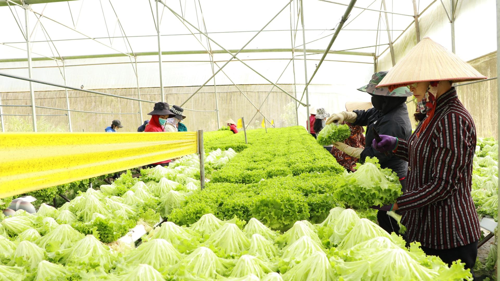 Chuyển đổi từ sản xuất xanh sang giá trị xanh để đóng góp vào mục tiêu tăng trưởng hai con số Chuyển đổi từ sản xuất xanh sang giá trị xanh để đóng góp vào mục tiêu tăng trưởng hai con số