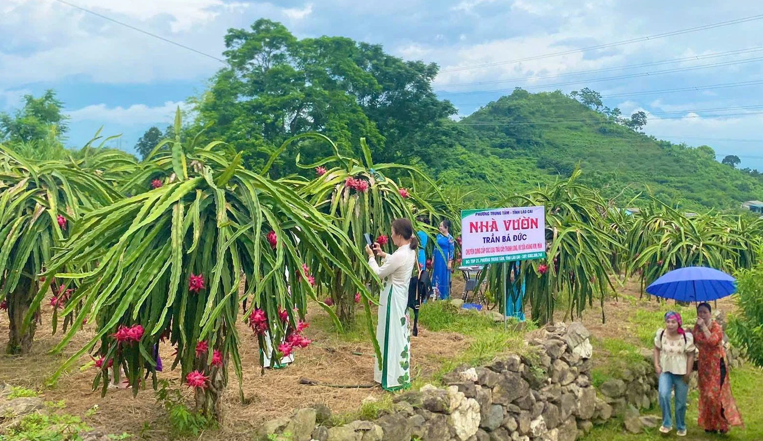 Mùa nào thức nấy tạo dấu ấn cho nông trại bốn mùa