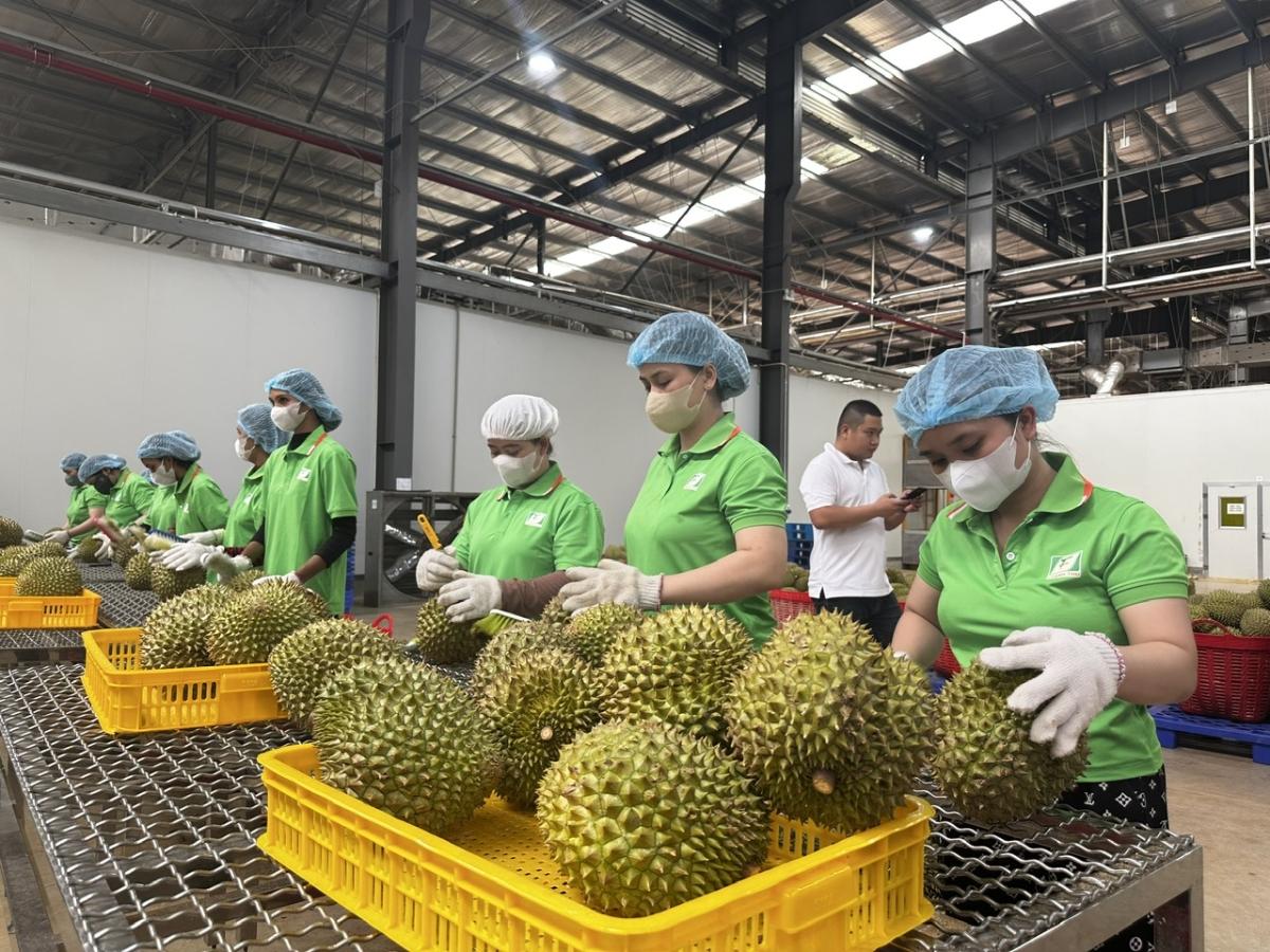 Xuất khẩu rau quả Việt Nam hai tháng liên tiếp vượt mốc 1 tỷ USD