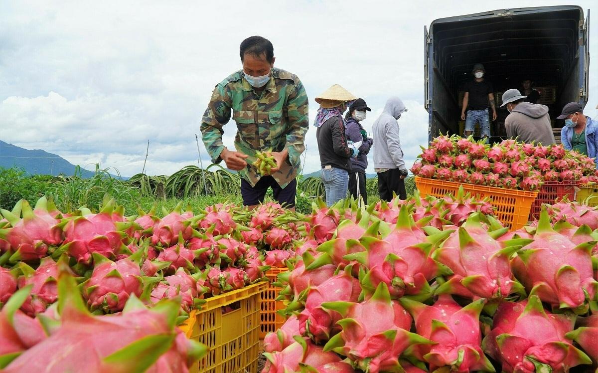 thanhlong_1788189323.jpg