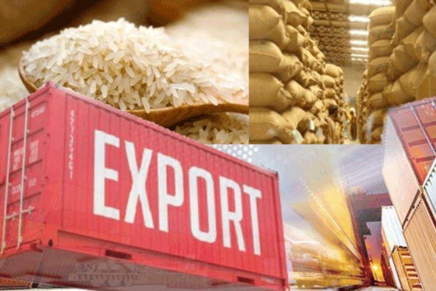 Dự báo giá gạo 2026: Xu hướng giảm vẫn chủ đạo