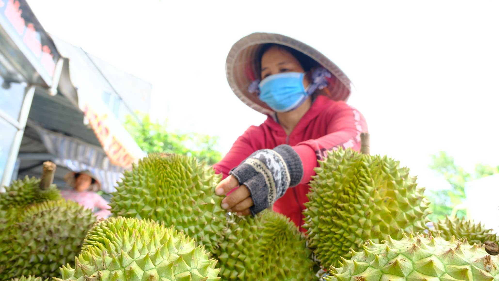 Xuất khẩu rau quả 11 tháng đạt gần 7,76 tỷ USD, hướng tới kỷ lục 8,5 tỷ USD