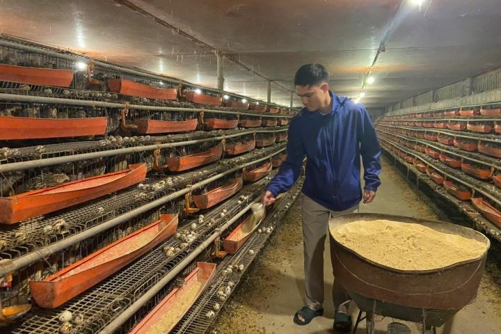 Khởi nghiệp từ hai bàn tay trắng, chàng trai trẻ đổi đời nhờ con “mắn đẻ”