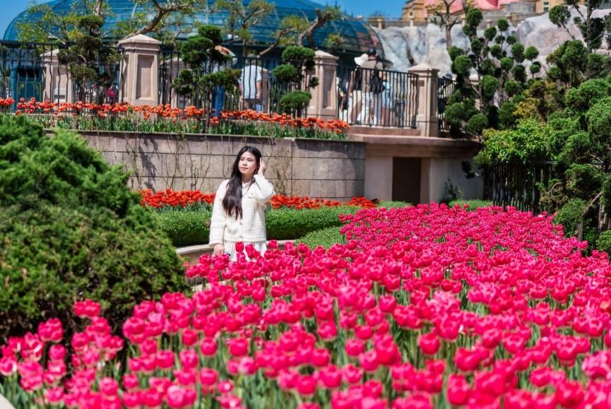 Đỉnh núi 'hot' nhất Việt Nam: Được 1 triệu bông tulip phủ kín, vé cáp treo không giới hạn 3 ngày