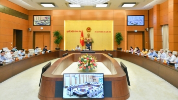 Giảm “kịch khung” thuế bảo vệ môi trường với xăng, dầu