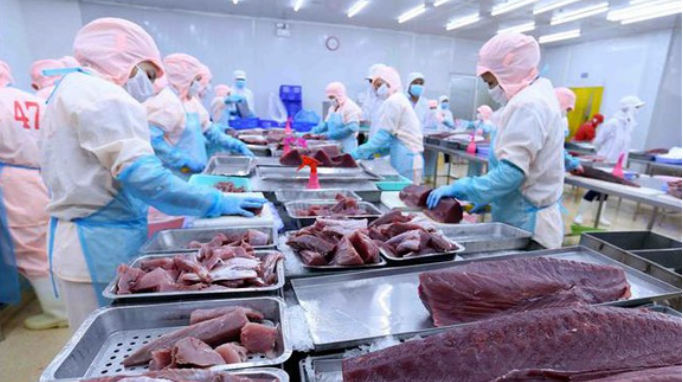 VASEP đề xuất gì để xuất khẩu cá ngừ tận dụng được những lợi thế FTA?